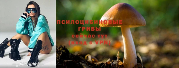 spice Горнозаводск