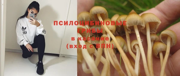 мяу мяу мука Гусь-Хрустальный