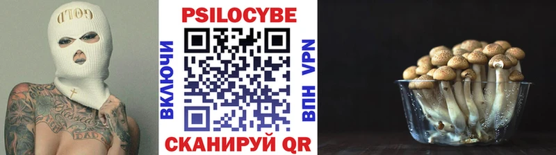 где найти наркотики Зея Галлюциногенные грибы Magic Shrooms
